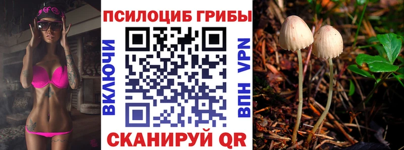 Псилоцибиновые грибы мицелий  купить наркотики цена  Гаврилов-Ям 