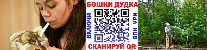 Бошки марихуана гибрид  где продают наркотики  Гаврилов-Ям 
